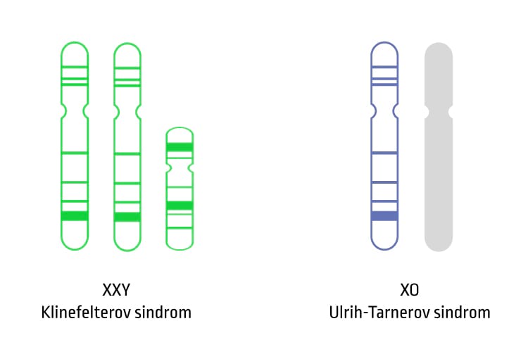 Informacije o poremećajima kromosoma X/Y
